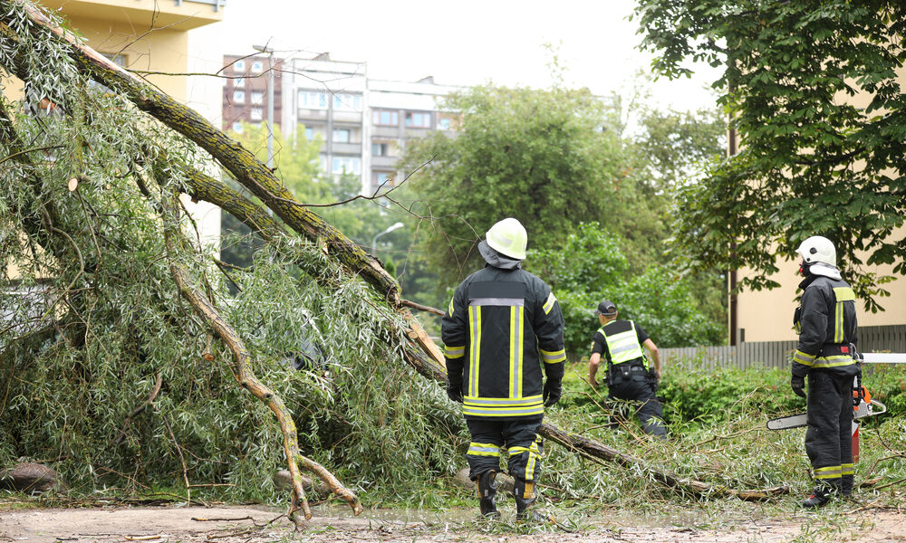 Intervento Vigili del Fuoco