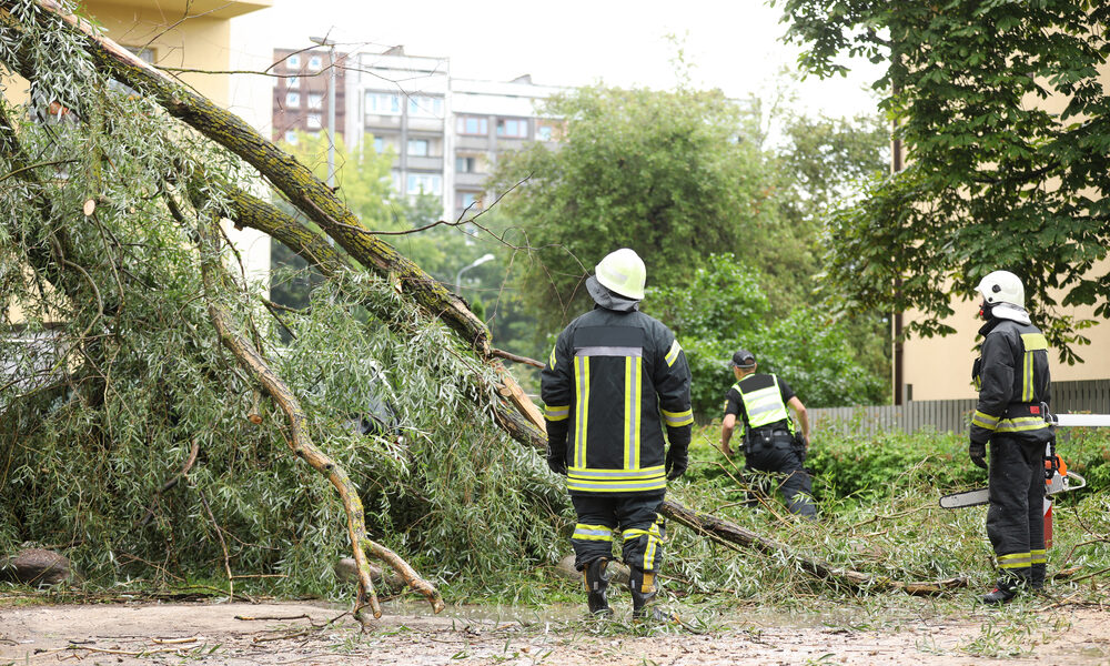 Intervento Vigili del Fuoco