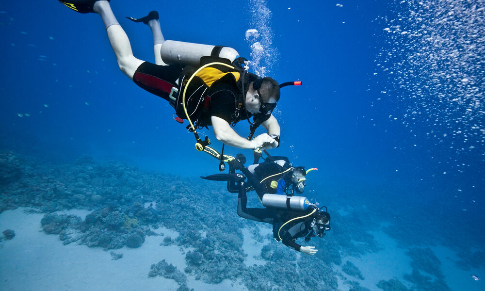 Sub durante un immersione - Mare Sopra