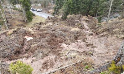 Un dettaglio della frana sulla strada per castel Valdajer a Ligosullo