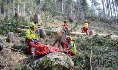 Boscaiolo travolto ad Arta Terme: per lui un trauma cranico