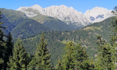Foresta Friuli-Venezia Giulia - Forestazione FVG