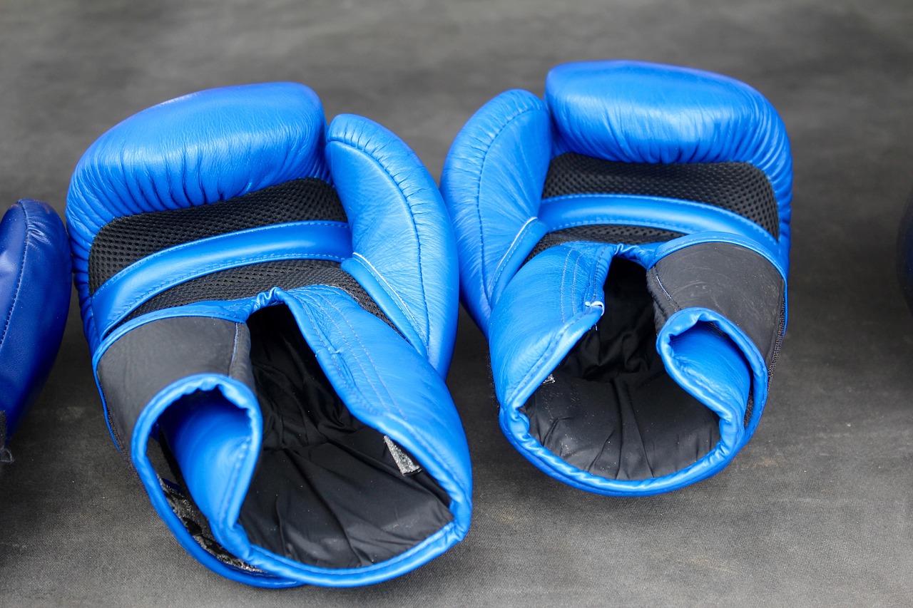 Guantoni da boxe