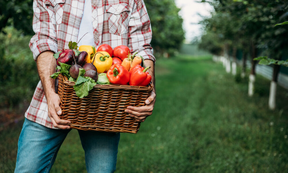 Agricoltura in FVG