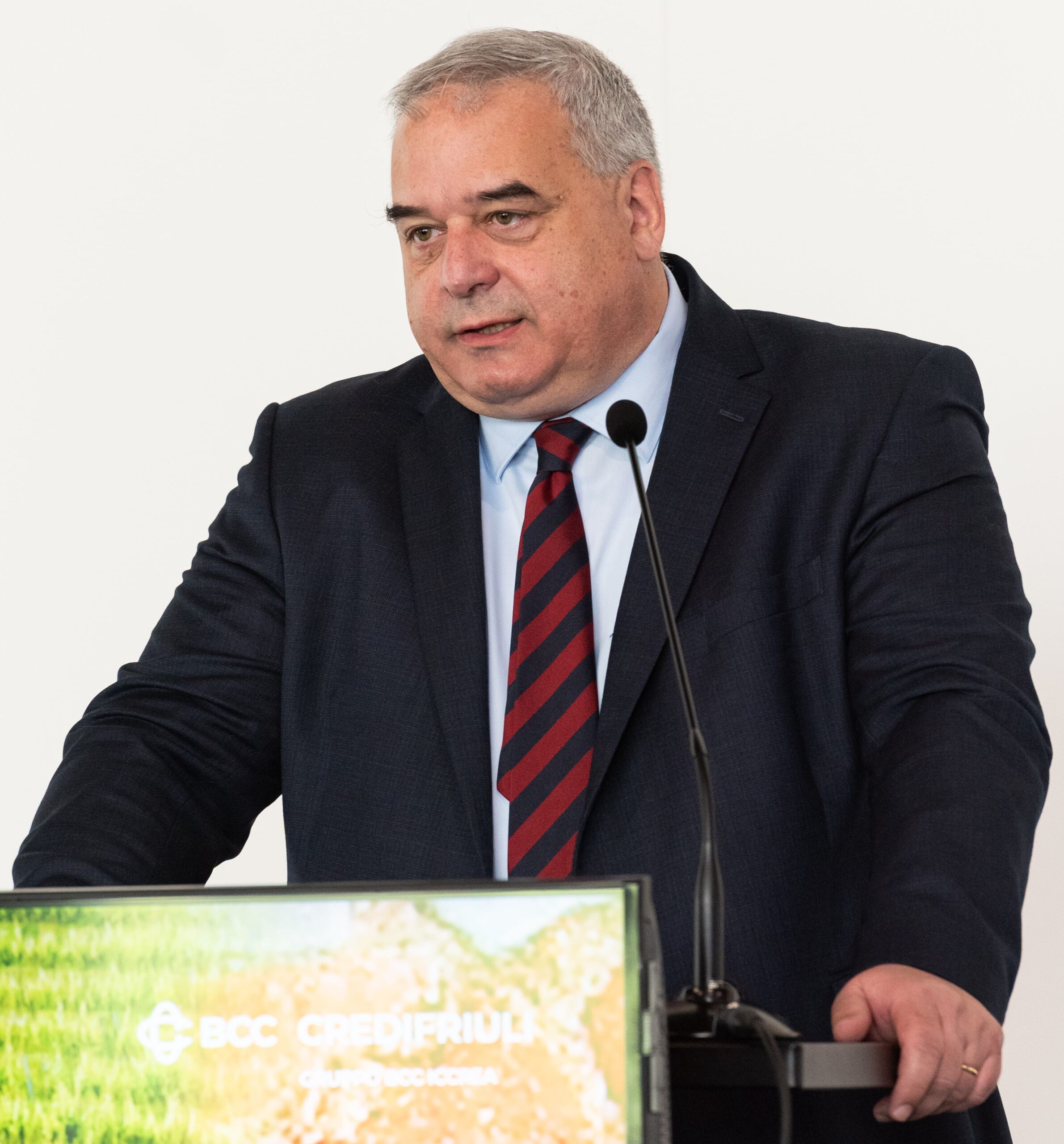 Stefano Fruttarolo, nuovo presidente CrediFriuli