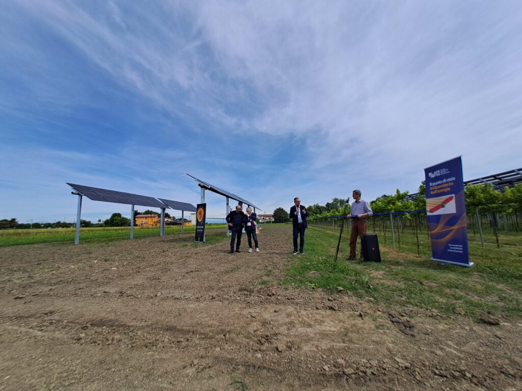 L'impianto agrivoltaico a Palazzolo dello Stella