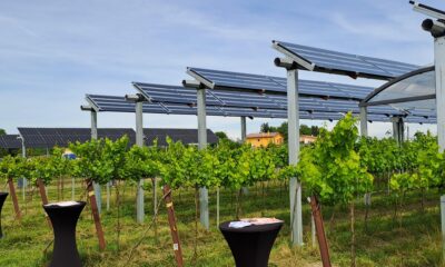 Il primo impianto agrivoltaico avanzato a Palazzolo dello Stella
