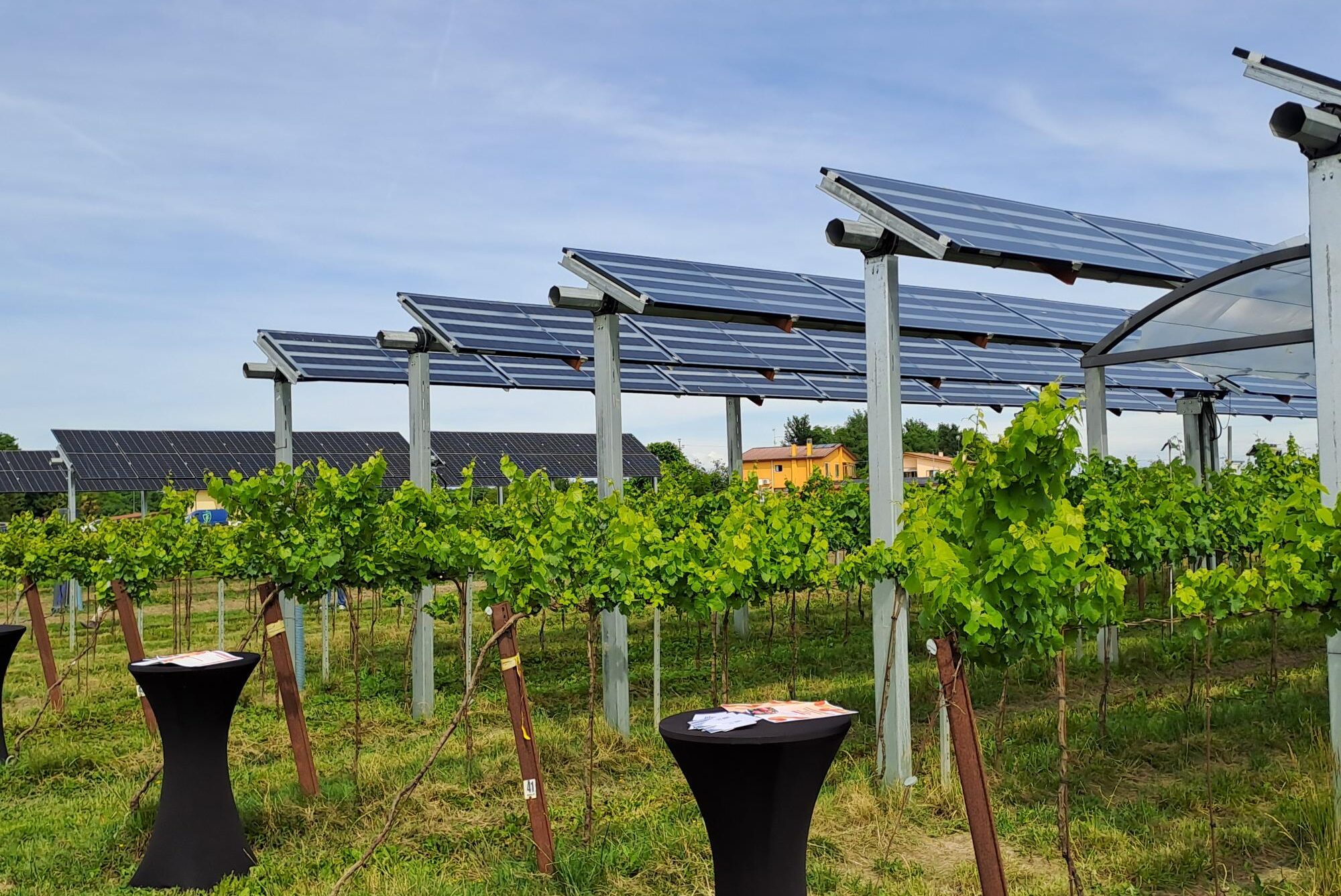 Il primo impianto agrivoltaico avanzato a Palazzolo dello Stella