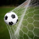 Pallone in rete