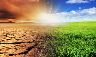 Cambiamento climatico