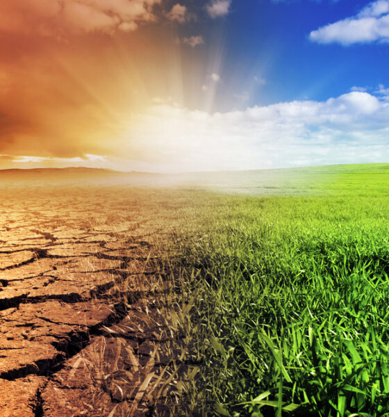Cambiamento climatico