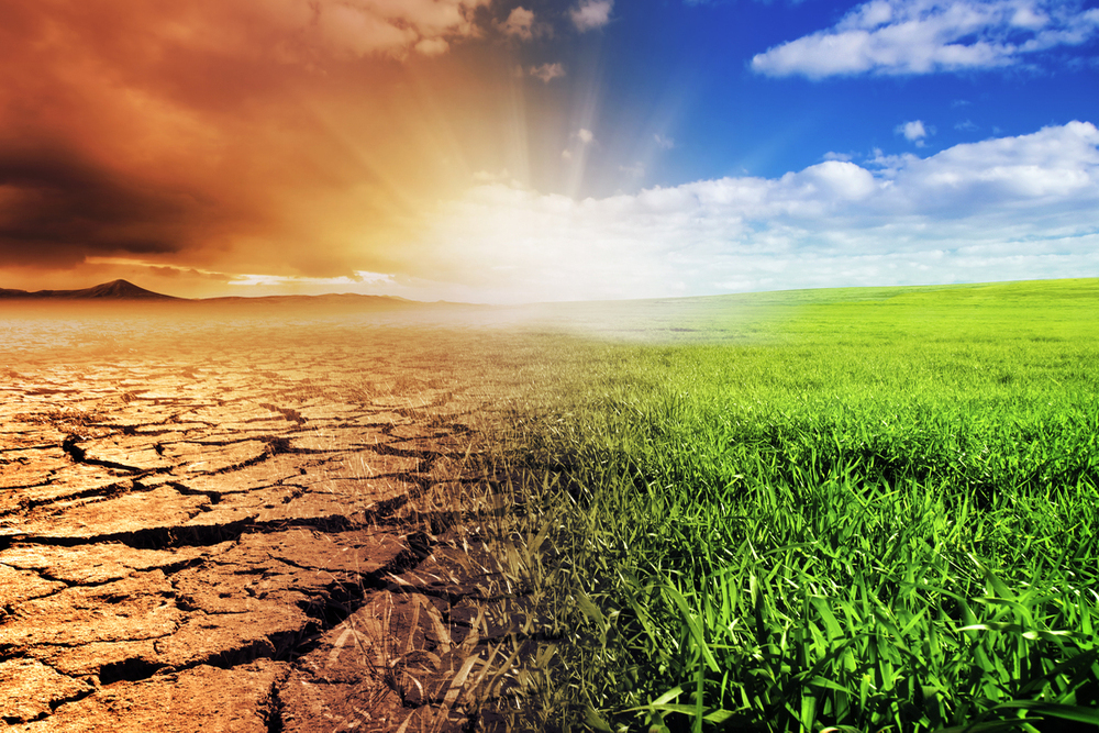 Cambiamento climatico