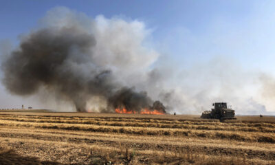 Incendio di un campo - Incendio nei campi Fontanafredda