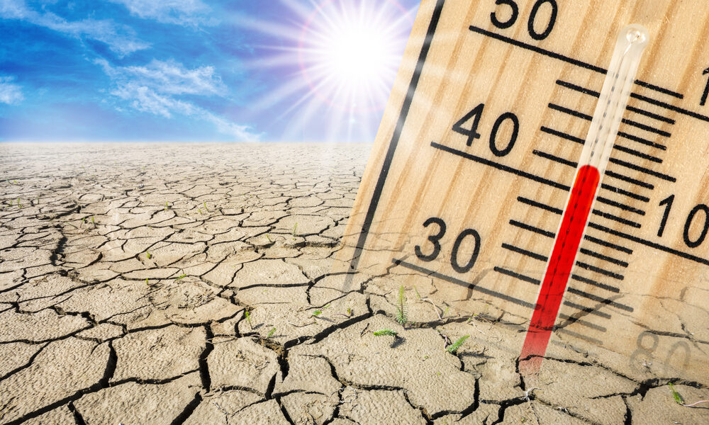 Siccità e temperature alte