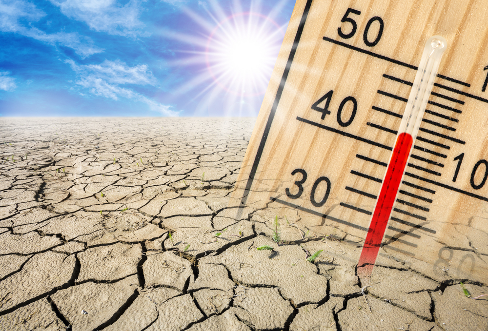 Siccità e temperature alte