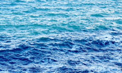 Mare - qualità del mare FVG