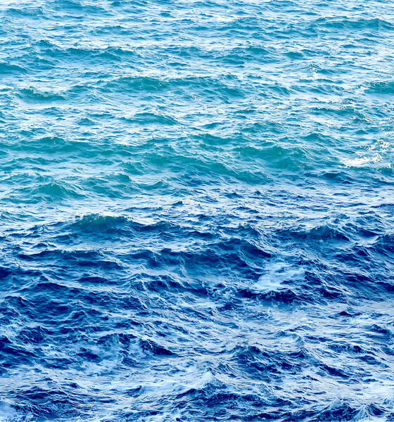 Mare - qualità del mare FVG