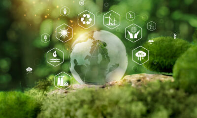 Sostenibilità, al via il premio FVGreen