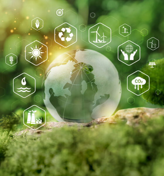 Sostenibilità, al via il premio FVGreen