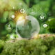 Sostenibilità, al via il premio FVGreen