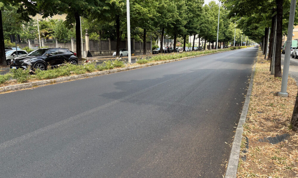 Viale Venezia Udine