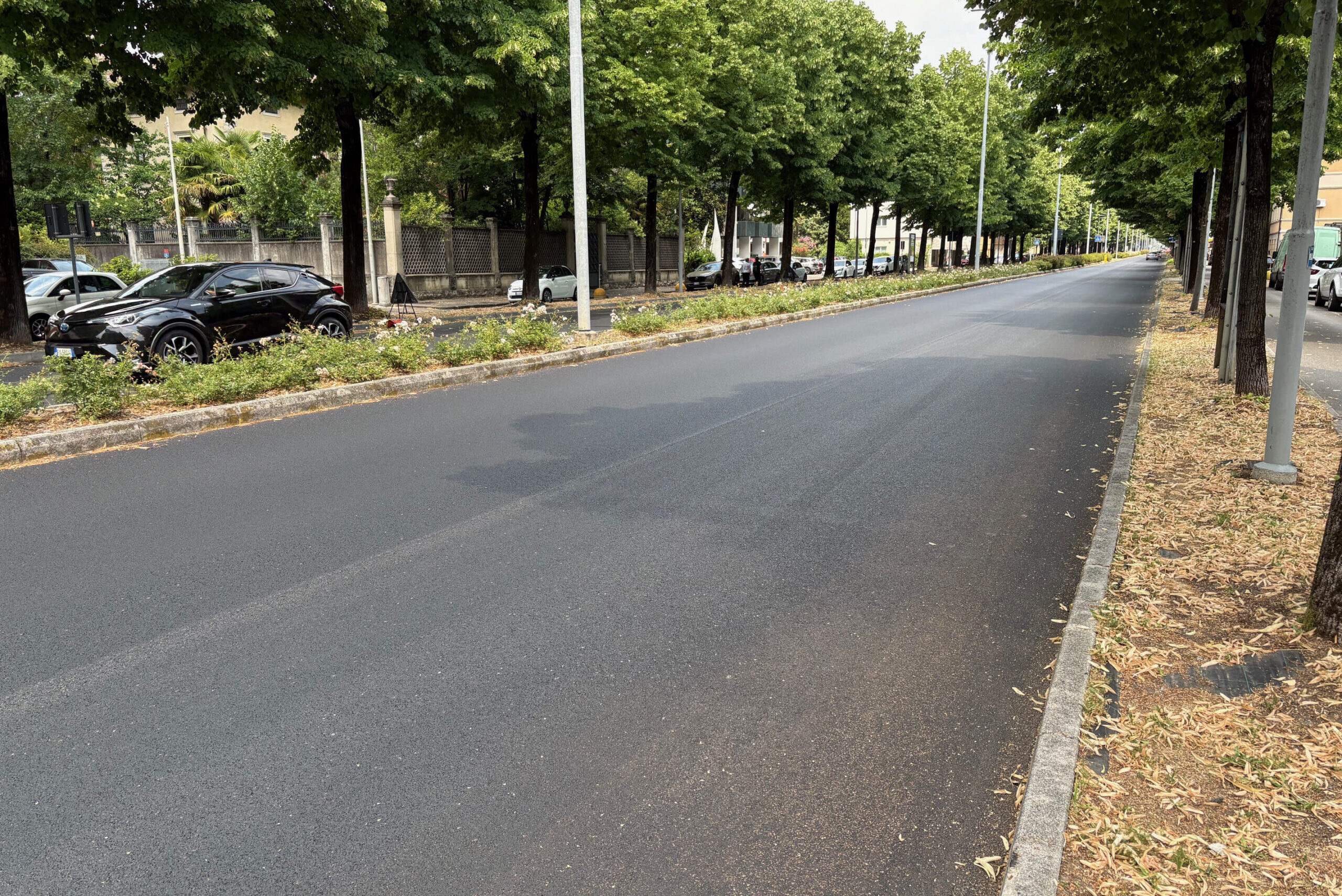 Viale Venezia Udine
