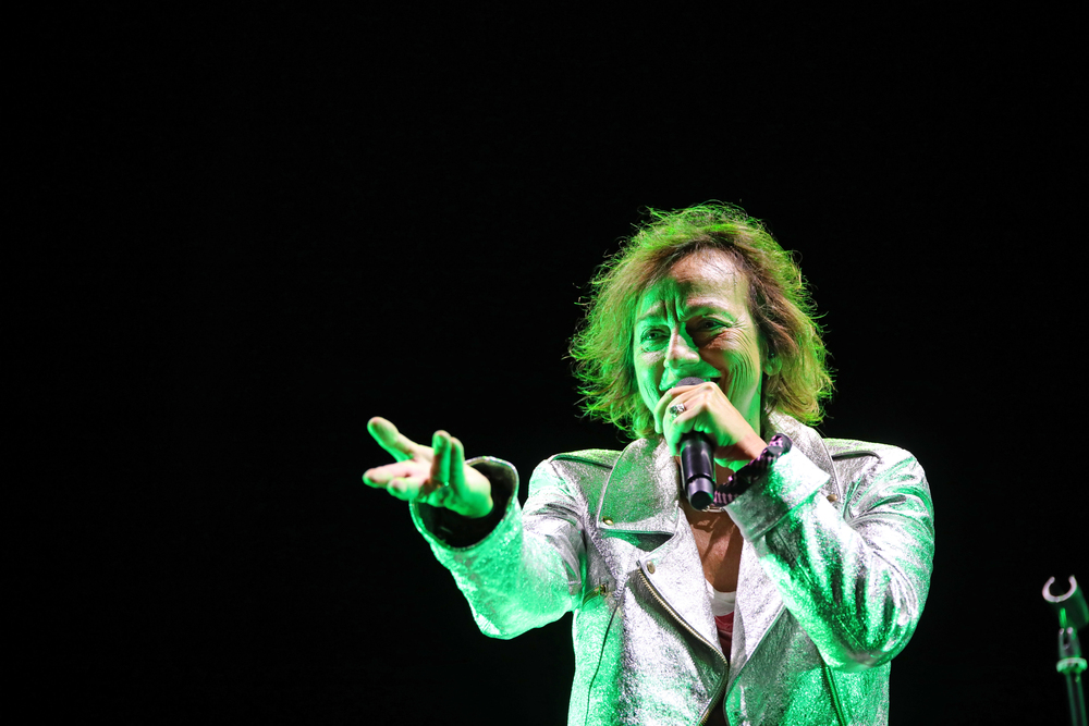 Gianna Nannini durante un concerto - Concerto Gianna Nannini