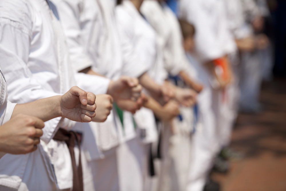 Formazione di karate