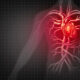 Sistema cardiocircolatorio