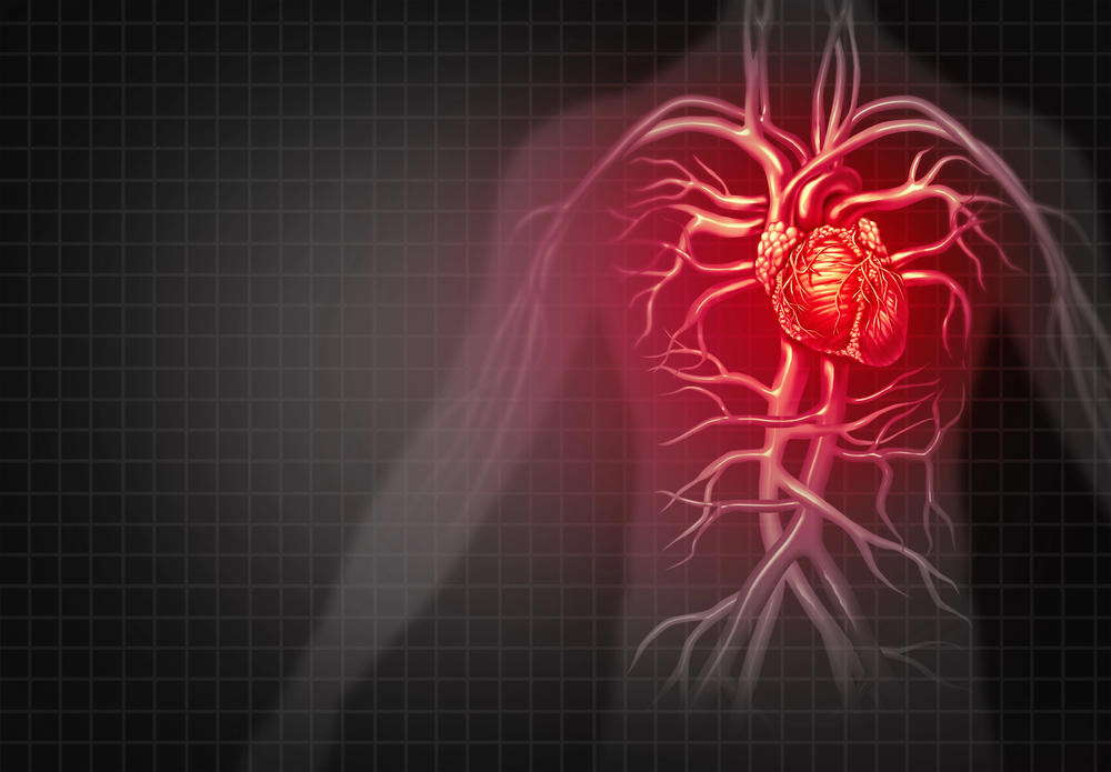 Sistema cardiocircolatorio