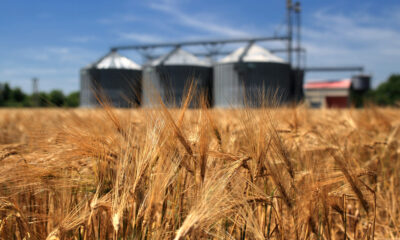 Azienda agricola