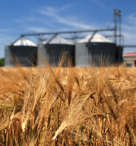 Azienda agricola