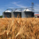 Azienda agricola