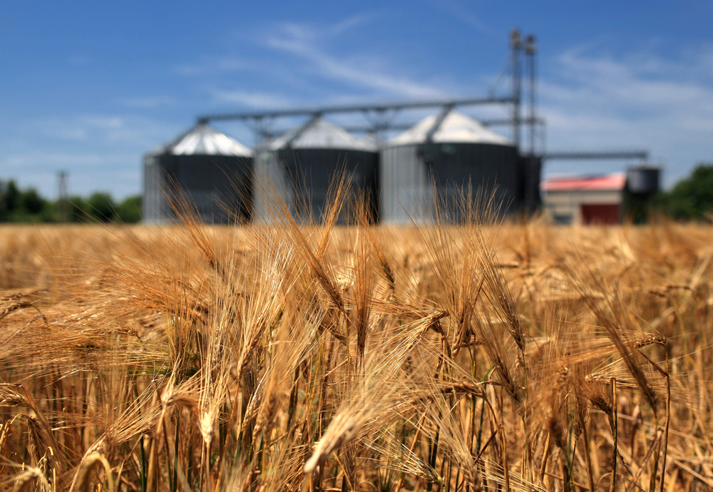 Azienda agricola