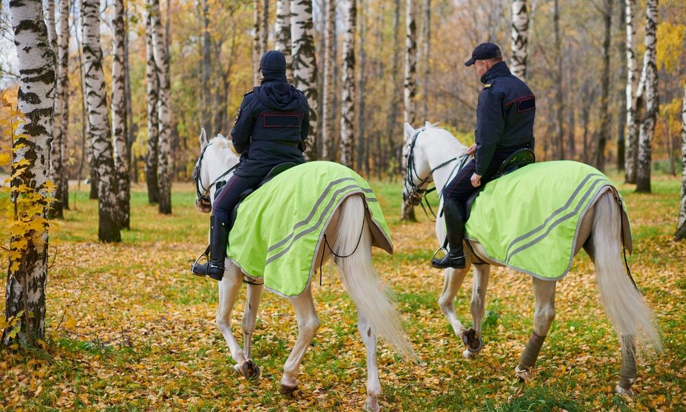 Forestali a cavallo