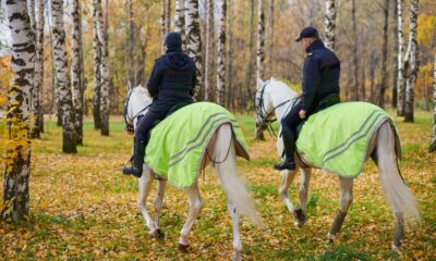 Forestali a cavallo