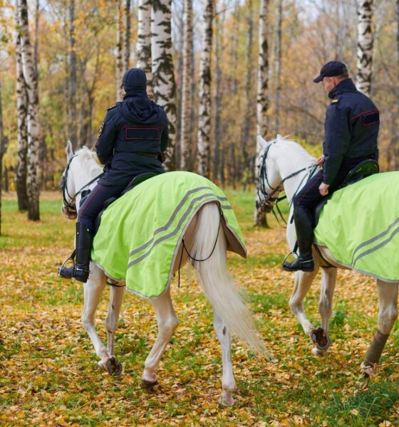 Forestali a cavallo