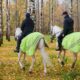 Forestali a cavallo