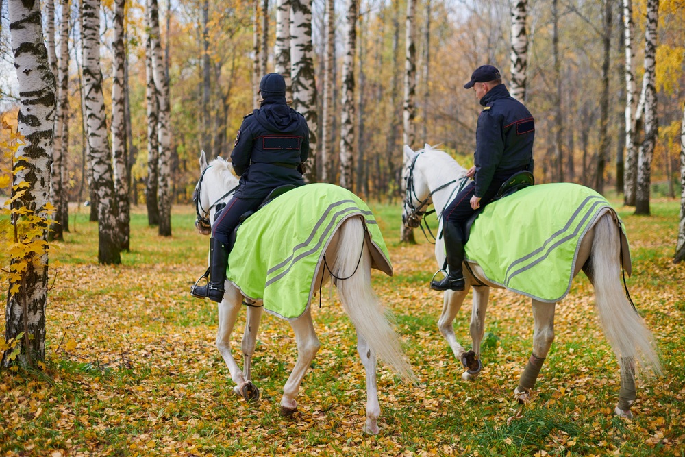 Forestali a cavallo