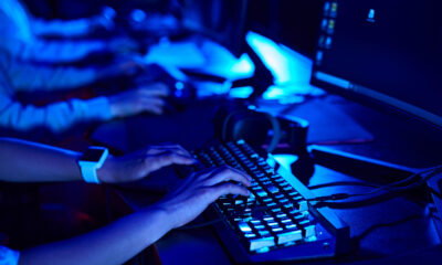 Persone al computer - Olimpiadi Italiane di Informatica