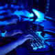 Persone al computer - Olimpiadi Italiane di Informatica