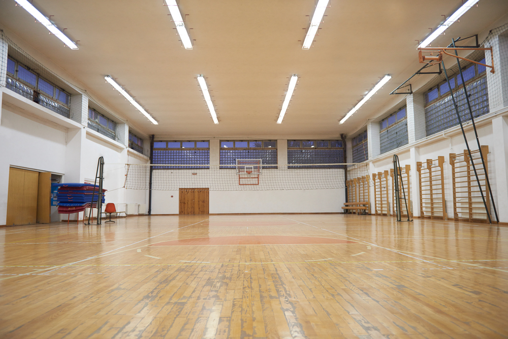 Palestra scolastica