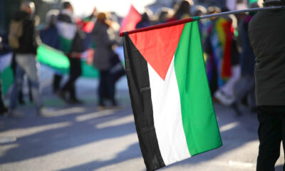 Bandiera della Palestina durante una protesta
