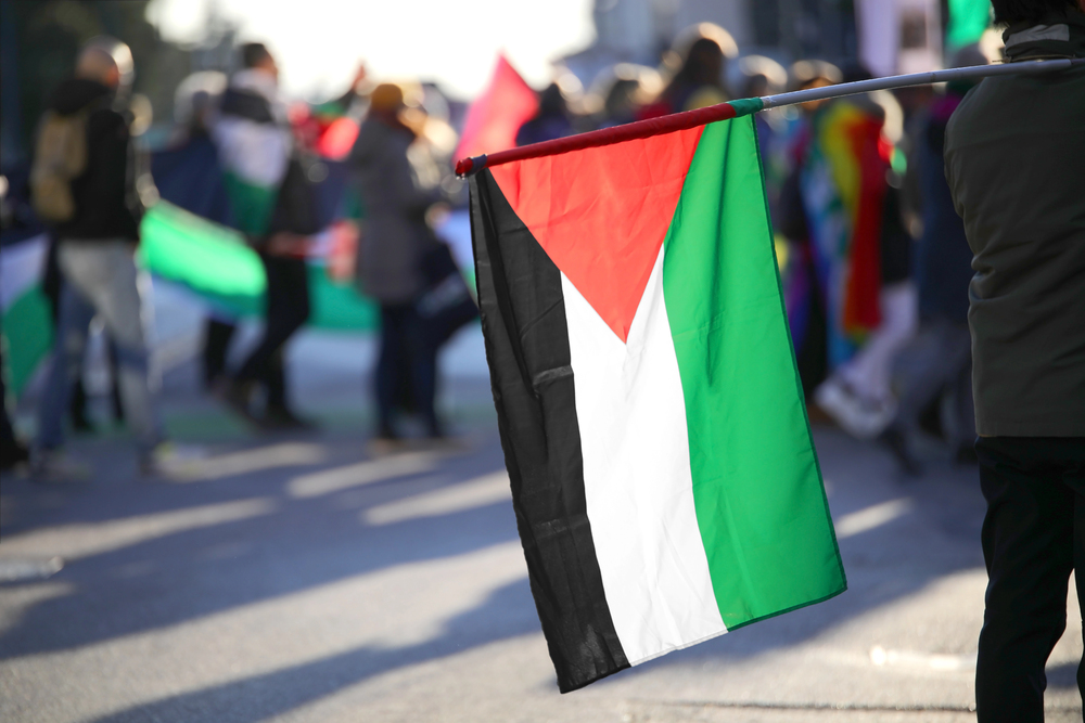 Bandiera della Palestina durante una protesta