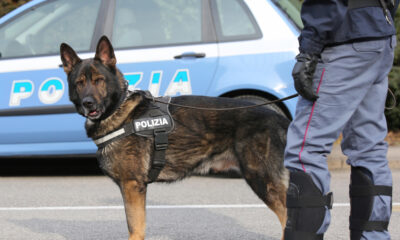 Unità cinofila polizia