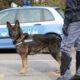 Unità cinofila polizia