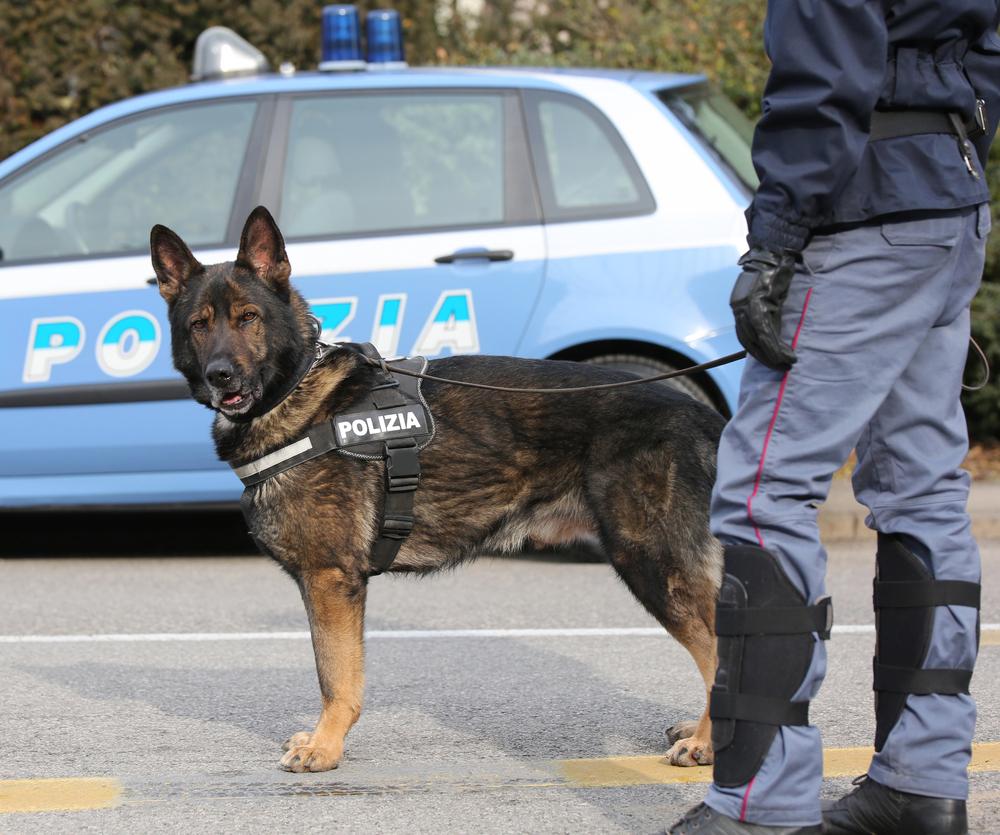 Unità cinofila polizia