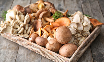 Cassetta di funghi
