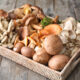 Cassetta di funghi