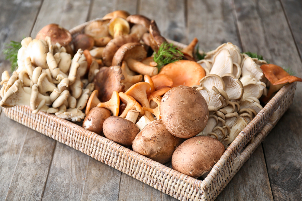 Cassetta di funghi